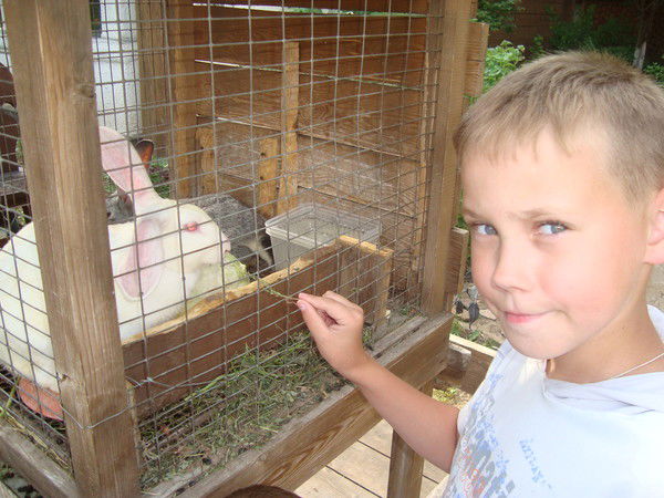 Сергей Миненков