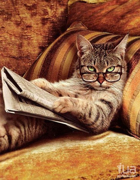 Аурика Селищева