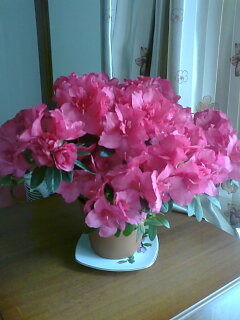 Жанар Жанар