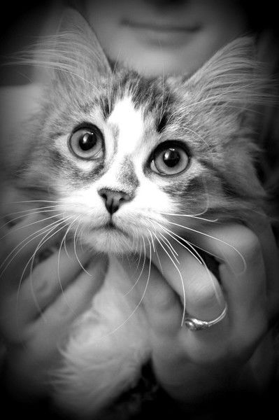 Алина Юрьевна