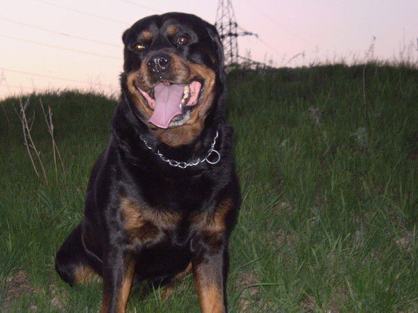 Татьяна Новгородова