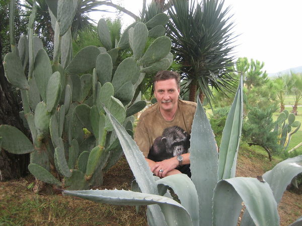 Виталий Ива