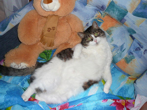 Наталья Фоменко