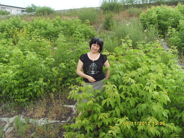 Елена Назарова