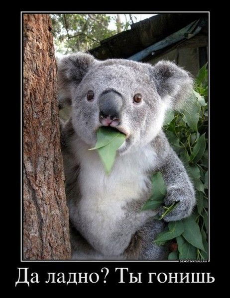 Максим Могилев