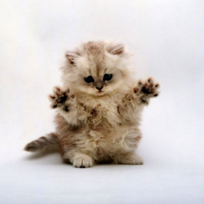 Андрей Микутавичус