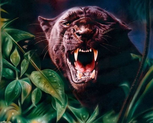 Рустем Халиков