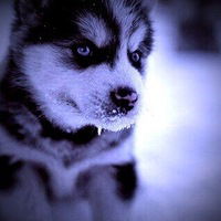 Ксюша Котоменкова