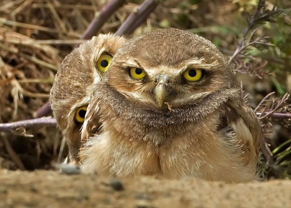 Валерий Потешкин