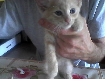 Эдик Семенов