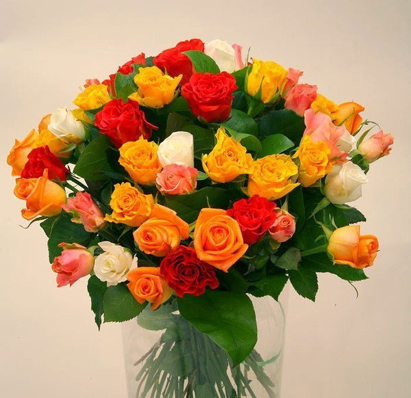 Валентина Х