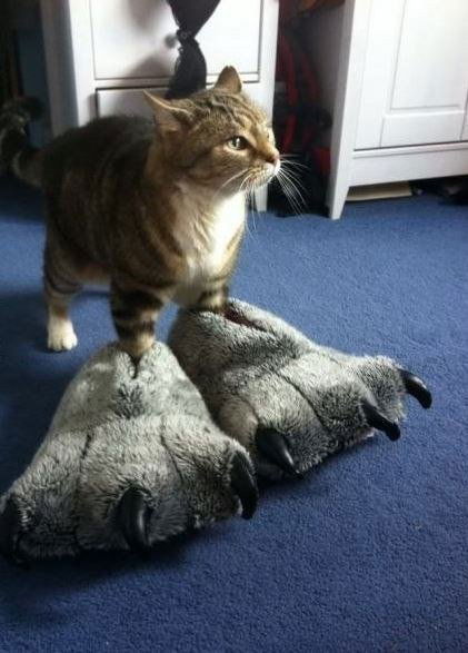 Оксанка Оксанка