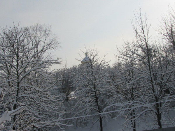 Наташа Херсон