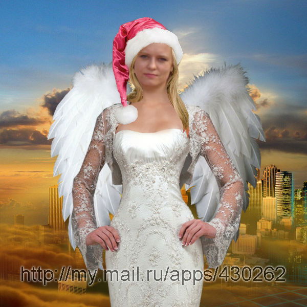 Анна Цапёлкина