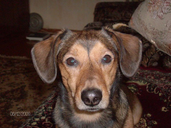 Сергей Куликов