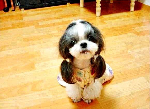 Юля Хованская (Шадрина)