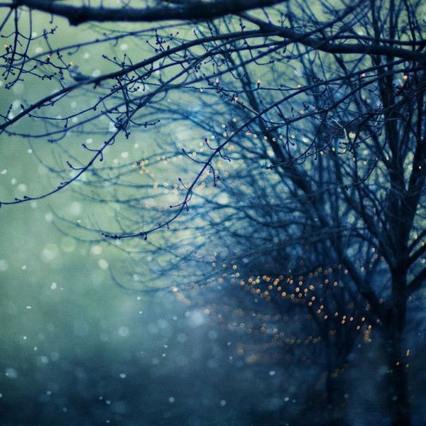 Дарья Коростелева