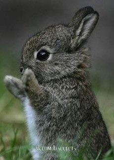 Екатерина Драпакова