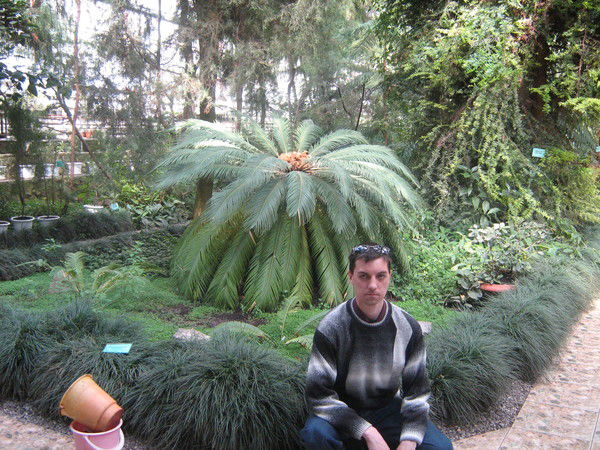 Андрей Петров