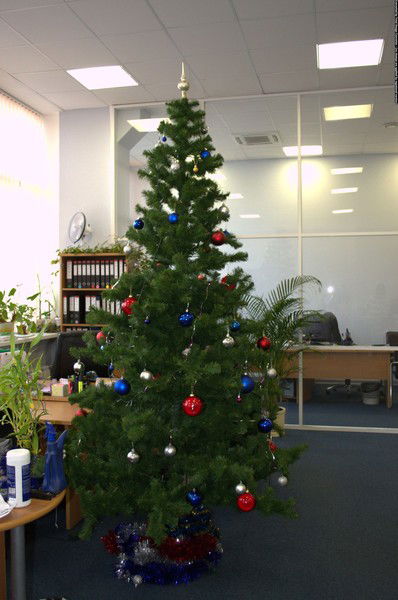 Светлана Цыганкова