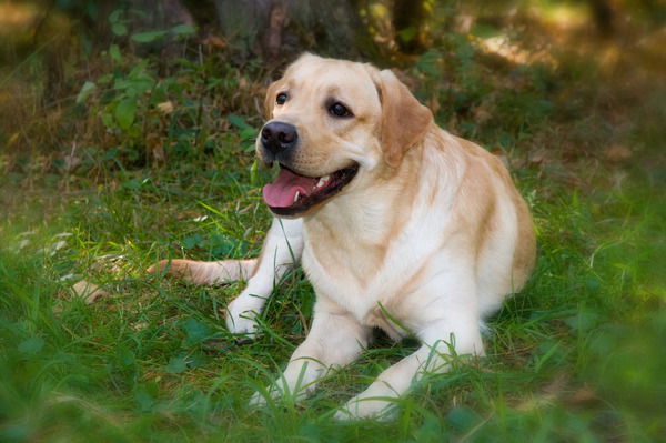 Наталья *******