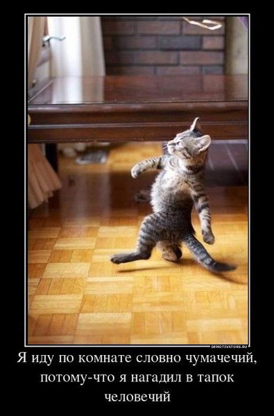 Алексей Соболь