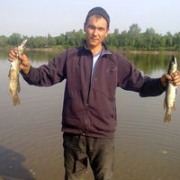 Андрей Кузнецов