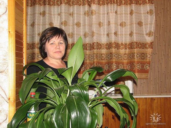 Тамара Рейценштейн