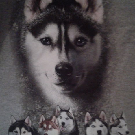 Елена Серикбаева