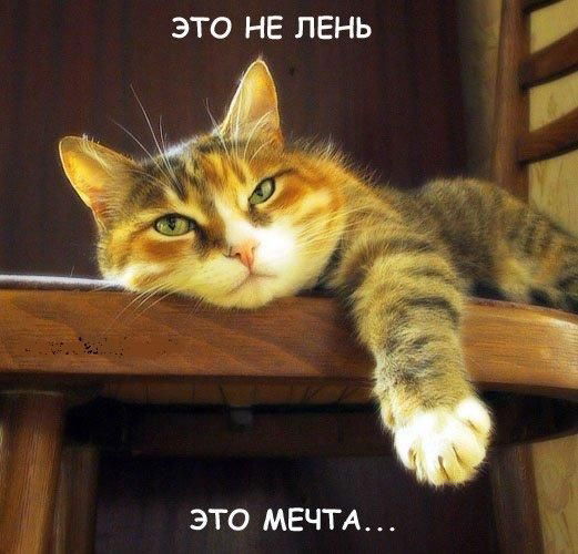 Артём Балахонский