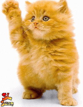 Алёна Глущенко