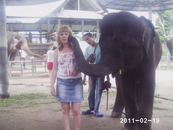 Елена Фаизова