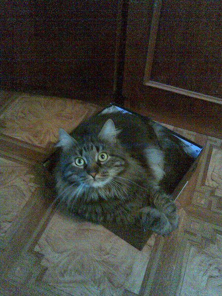 Александр Жуков