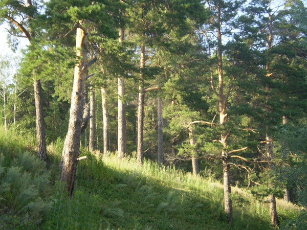 Людмила Людмила