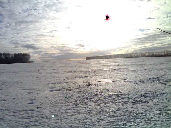 Анна Фролова