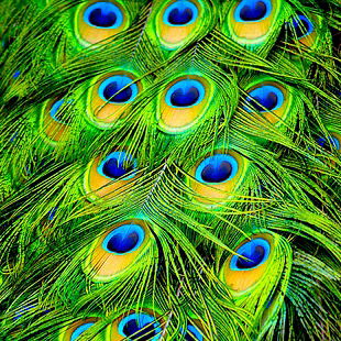 Евгения Десяткова