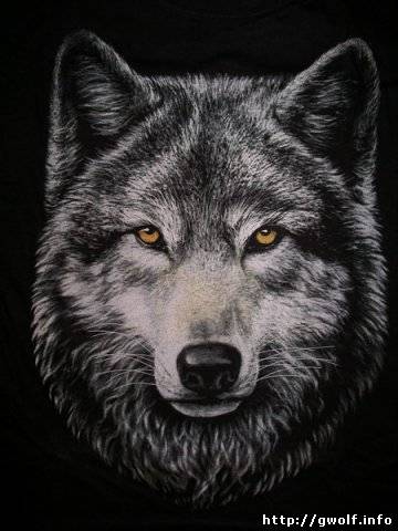 Николай Громовой