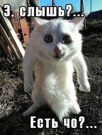 Алексей Ант