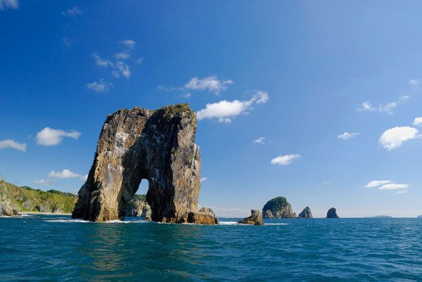 Наталья Бирюкова