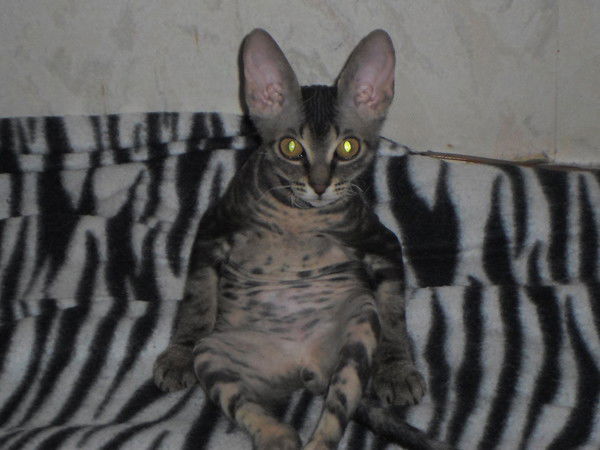 Мария Руденко