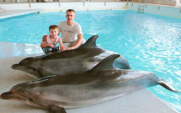 Алексей Летанин