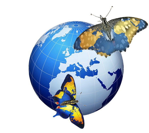 Дарья Малкина