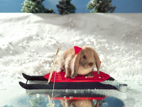 Dinara Бармакова