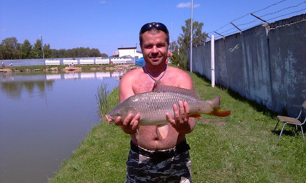 Виктор Келейников