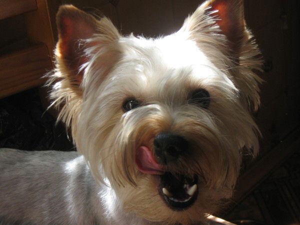 Татьяна Киселева