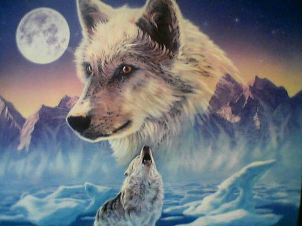 Лиза Сабирова