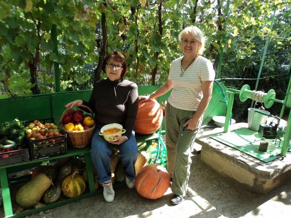 Наталья Вдовенко