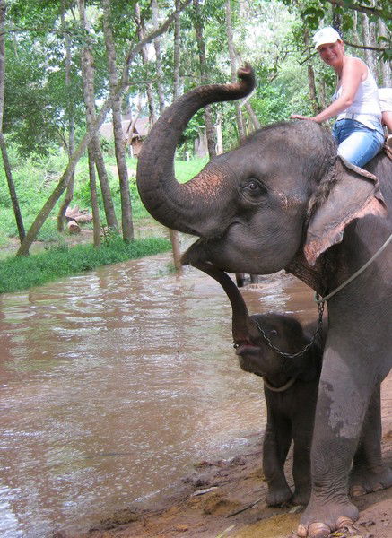 Светлана Алентьева