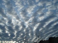 Витя Дмитриев