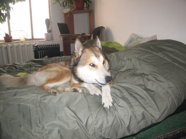 Андрей Иванов